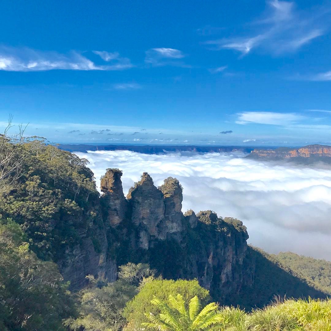 17934491_220808005070655_8939491023759867904_n