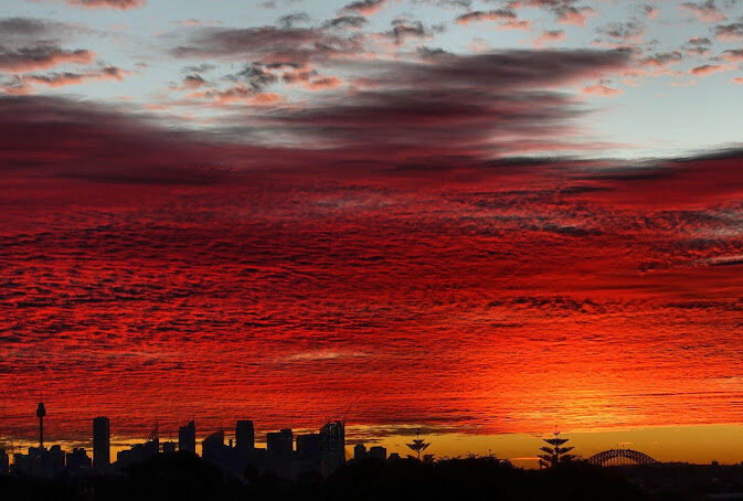 Cropped cropped sunsetcst 2.jpg