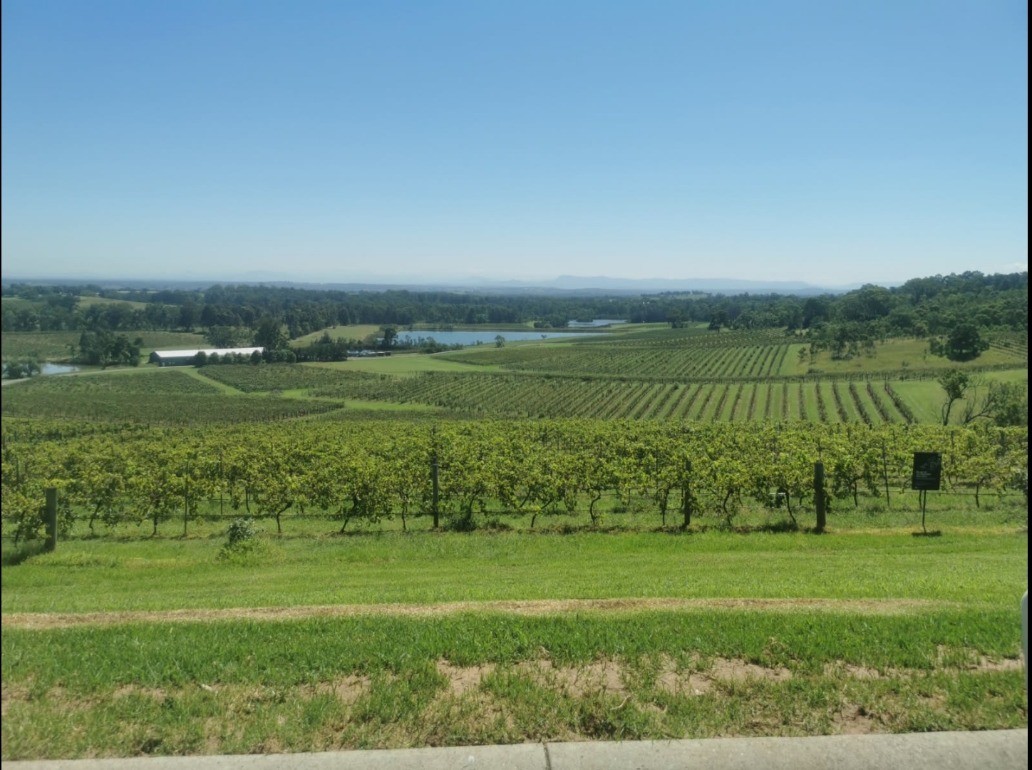 Screenshot 20250314 125630