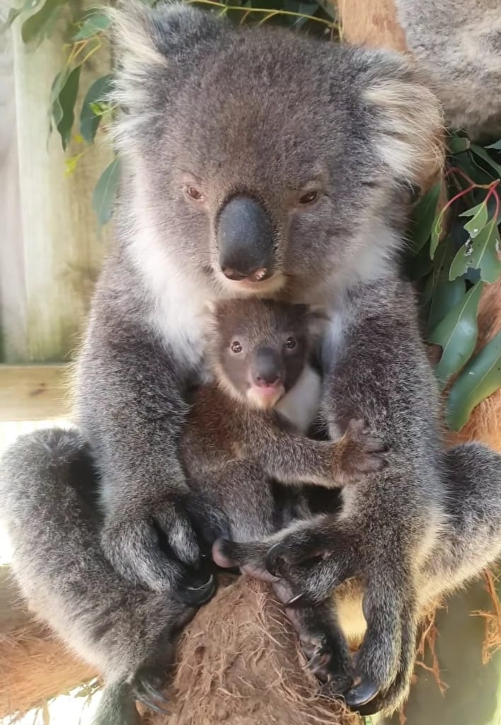 28044d79 9a25 47f6 b404 d7dabf9c42e8